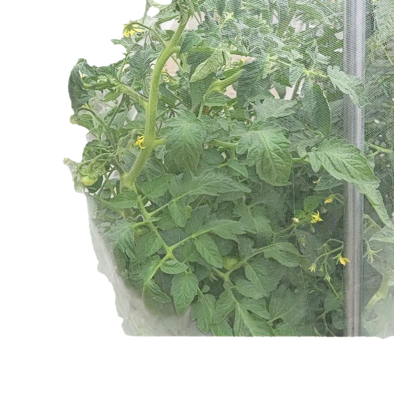 Insect-Proof Net for Vegetable Greenhouses, Agricultural Breeding Net, Mosquito-Proof Net, Vegetable Net, Locust-Proof Mesh Net, Garden Insect Net, Mesh Net