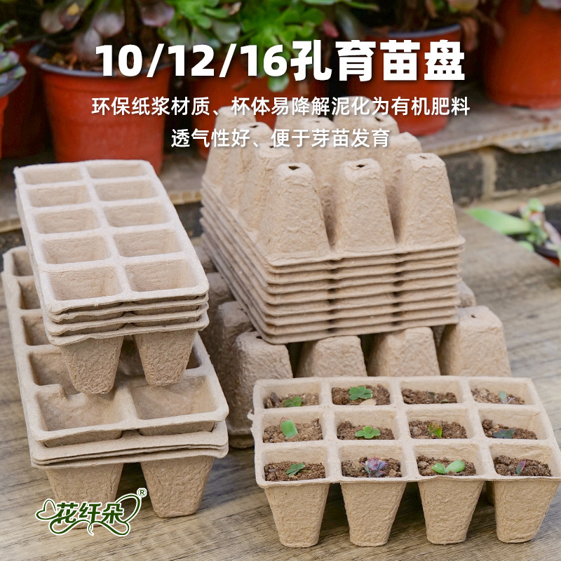 Wholesale Seedling Trays for Seedlings, Breathable Trays for Succulent Cuttings, Bean Sprouts, Phalaenopsis Orchids, Biodegradable Seedling Cups, Plug Trays