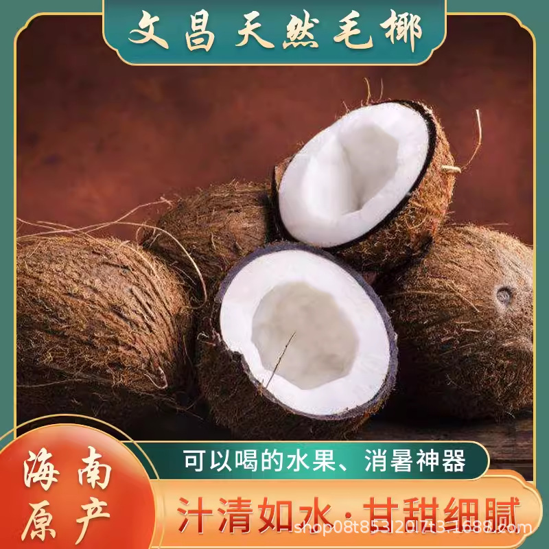 Кокос Хайнань старый волосатый свежий оптовый кокос куриный кокос фрукт кокосовое мясо сок суп