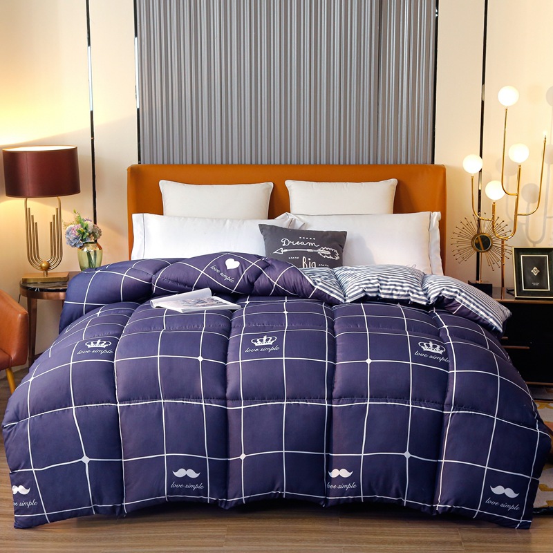 Nantong Home Textiles Quilt Winter Quilt Quilt Home Quilt Core Air Conditioning Quilt Student Four Seasons Neutral Spring and Autumn Quilt Thickened and Warm