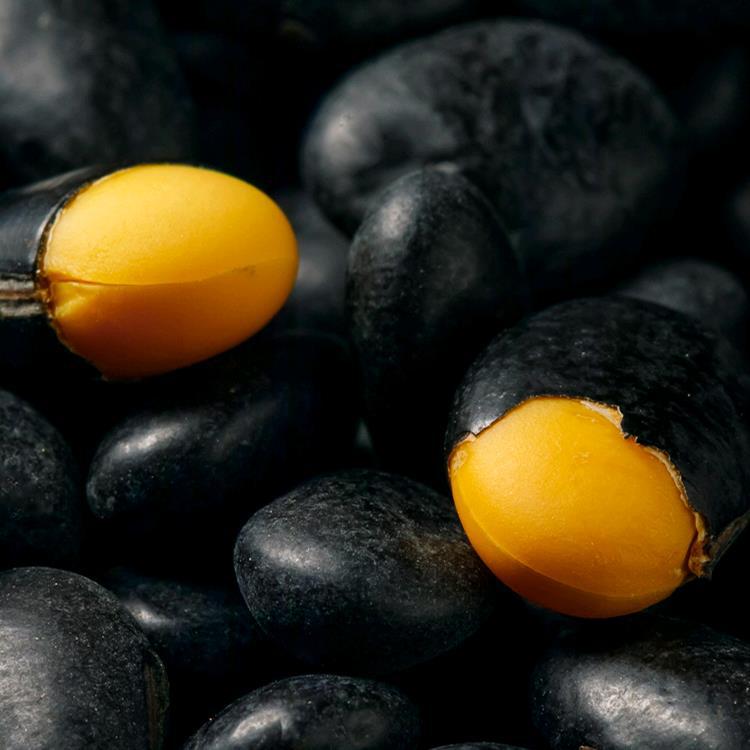 Factory wholesale new cereals freshly ground soybean milk raw materials low temperature baking cooked yellow core black bean yellow heart grinding powder