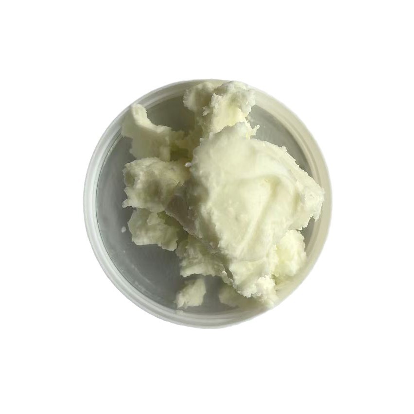 Lipstick Base DIY Long-Lasting Lipstick Base Semi-Finished Matte Matte Lipstick Velvet Is Not Easy to Fade