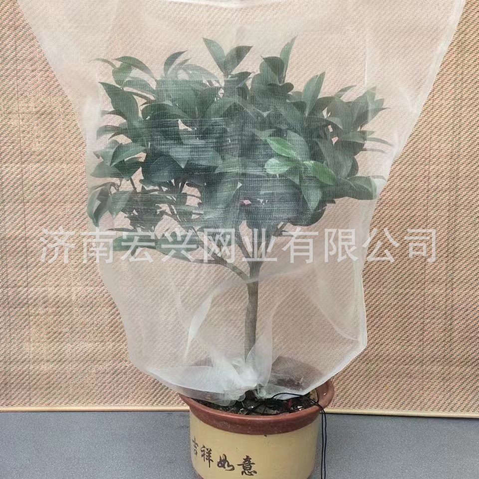 Manufacturer's Full Specification Insect-Proof Mesh, Greenhouse Vegetable and Fruit Orchard Vegetable Planting Special Thickeneded Aging-Resistant Insect-Proof Net