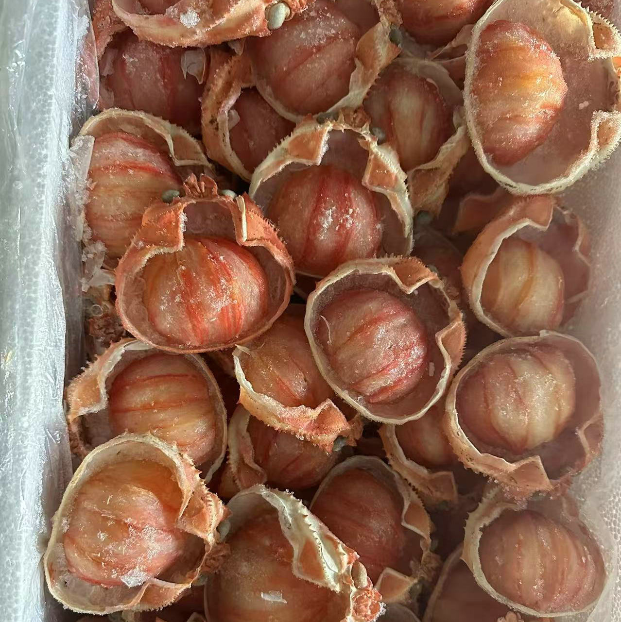 Jiangsu Frozen Korean Crab Treasure Shelled Crab Meat Commercial Large Shell Crab Treasure 70G/Piece Buffet Ingredients Wholesale