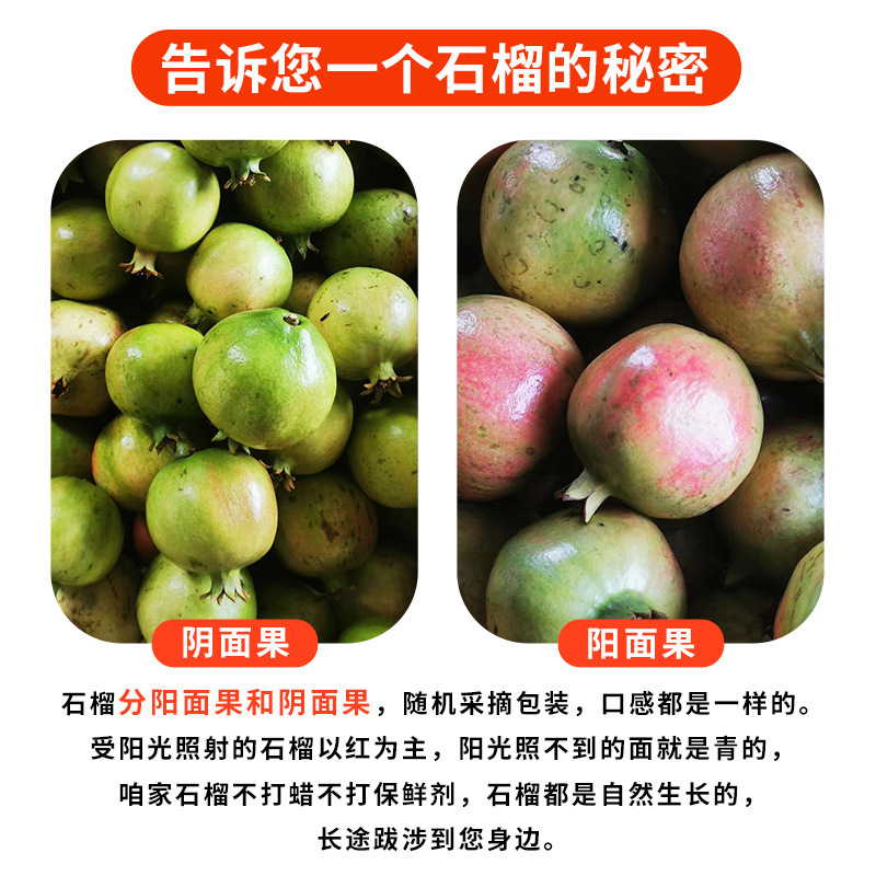 Tunisian Soft Seed Pomegranate 5kg Fresh Fruit Seasonal Sichuan Huali Free Shipping Seedless Pomegranate Large Fruit Whole Box