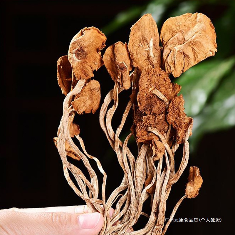 2025 New Bulk Dried Goods Enoki Mushroom Edible Fungi Market Exhibition Stall Products Enoki Mushroom Dried Yellow