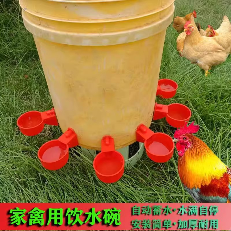 Universal Automatic Poultry Waterer, New Drinking Bowl, Special Water Bottle for Chickens and Ducks, Automatic Water Feeder for Quails and Pigeons