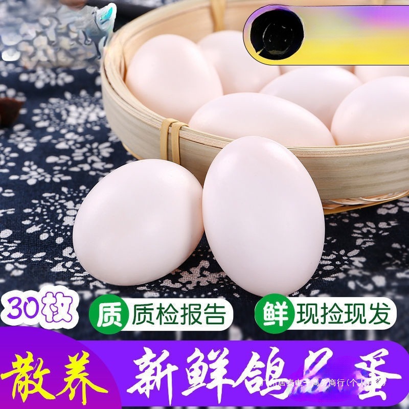 Pigeon Eggs, 15-60 Free-Range Pigeon Eggs Gift Box for Pregnant Women, Farm Fresh Large High-Quality 60 Eggs for Consumption