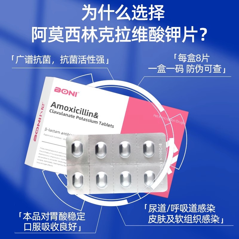 Amoxicillin Clavulanic Acid Potassium Tablets Are Anti-Inflammatory and Antibacterial Drugs for Dogs and Pets, and Can Be Used as Cold Medicine for Cats with Nasal Congestion