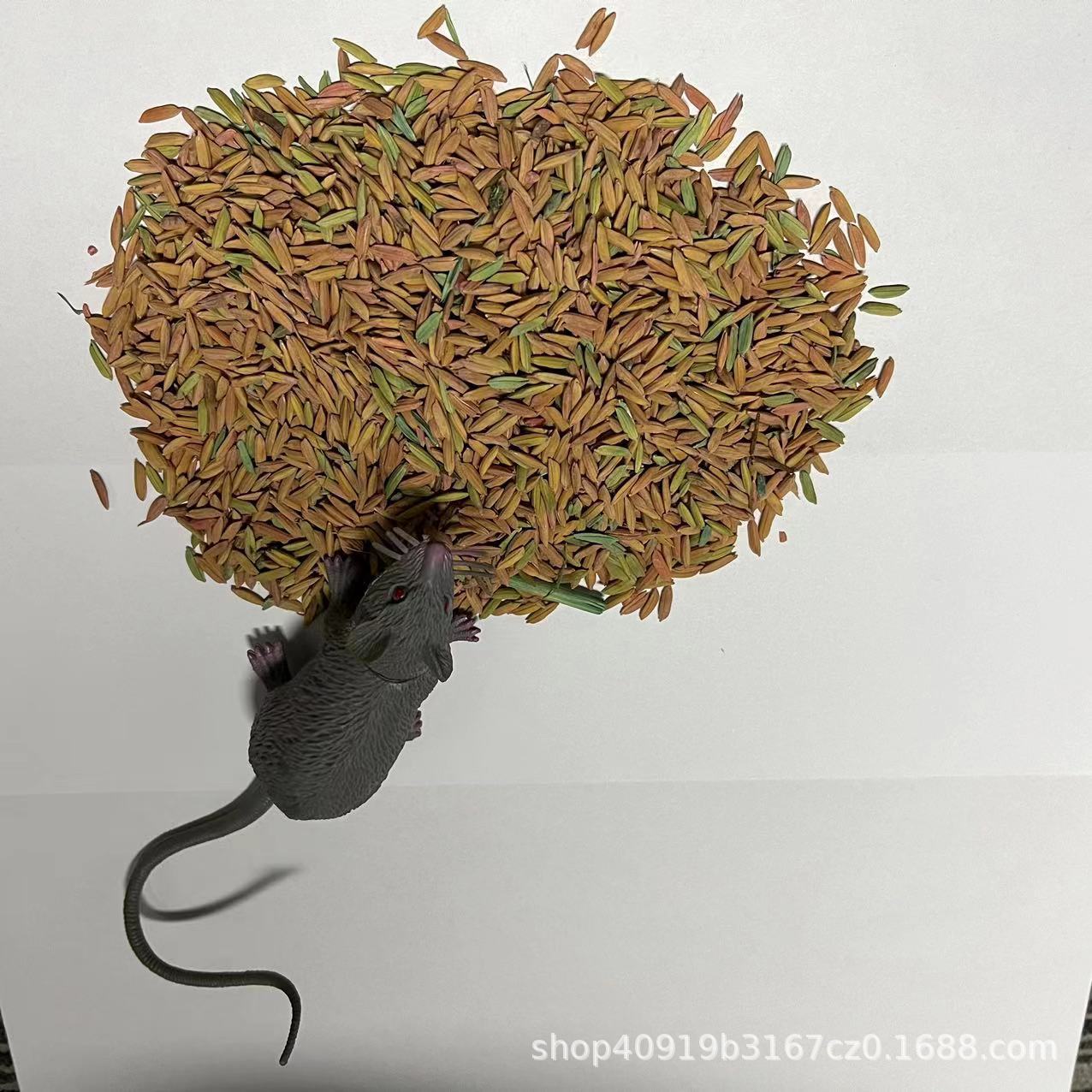 Wholesale Rat Rice Grain Rat Bait Poison Rat Trap Artifact Black Technology Commercial Environmentally Friendly Rodent Control Insect Repellent Grain