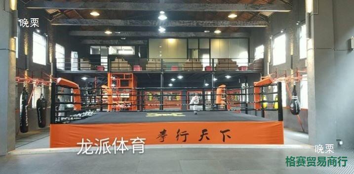 Indoor Fence Boxing Ring Training Table Muay Thai Sanda Ring Standard Competition Martial Arts Floor Boxing Ring Mma
