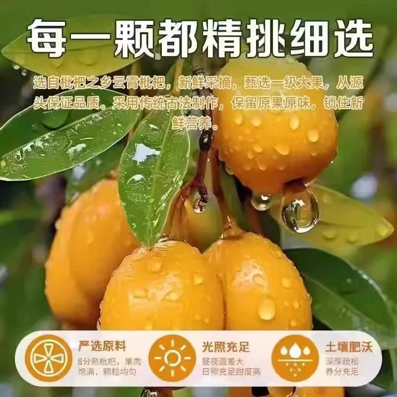 Bamboo Salt Loquat Dried Wholesale 100g Seedless Dried Fruit Loquat Dried Snacks Wholesale Soft Glutinous Loquat Dried