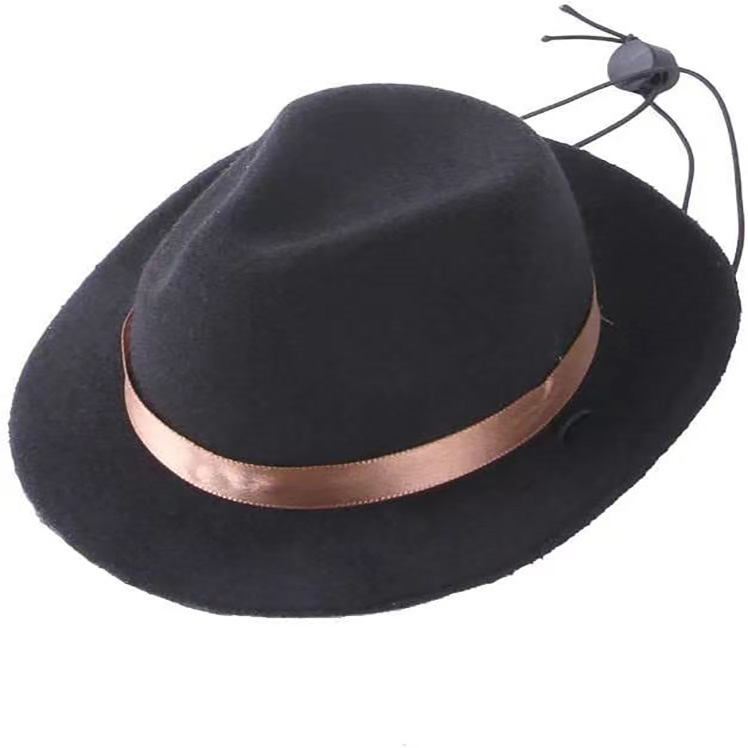 Cross-border Amazon Mexico Western Cowboy Hat Birthday party Hat Sunshade Sunscreen Hat Mini Pet Hat
