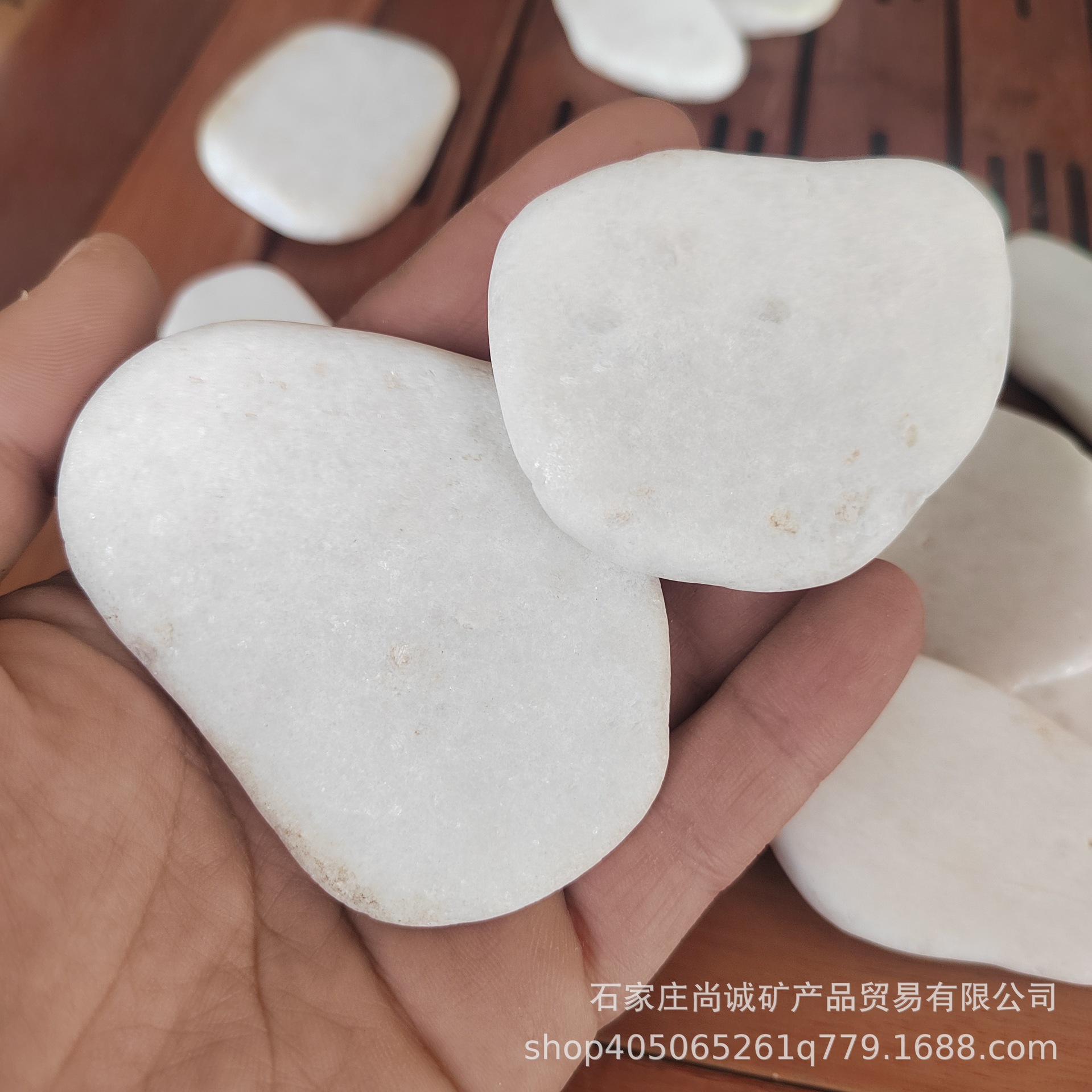 White Painting Flat Stone White Painting Pebbles White Painting Stone Painting Stone Painted Stone