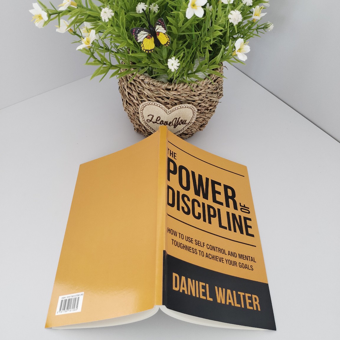 The Power of Discipline How to Use English Version