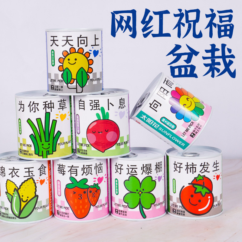 Children's Planting Cans, Plant Blind Box, Desktop Potted Mint Florals, Indoor Green Plants, Good for Feeding Seeds