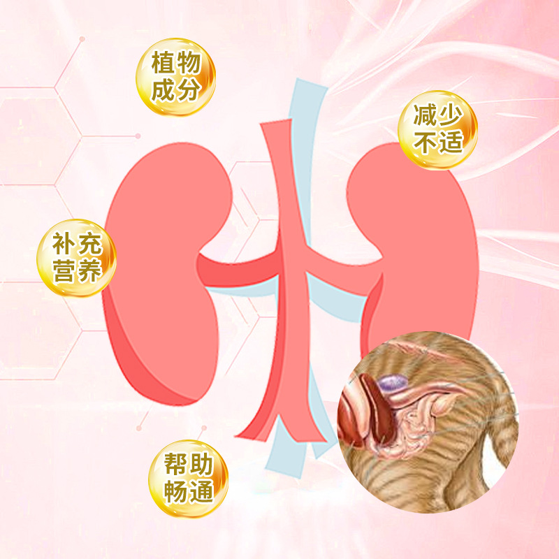 Pet Diuretic for Cats and Dogs with Urinary Obstruction, Bilberry Urinary Diuretic, Pet Nutritional Supplement, Diuretic Wholesale