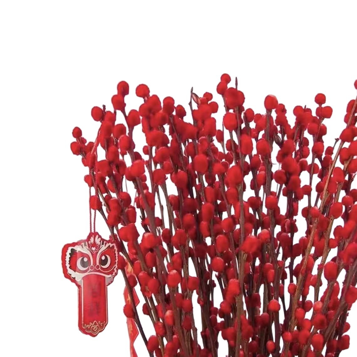 [Ready Stock] [Thick] Silver Willow Real Flower Fresh Branches Red Willow Branches Living Room Ornaments Dried Flowers Red Water Culture