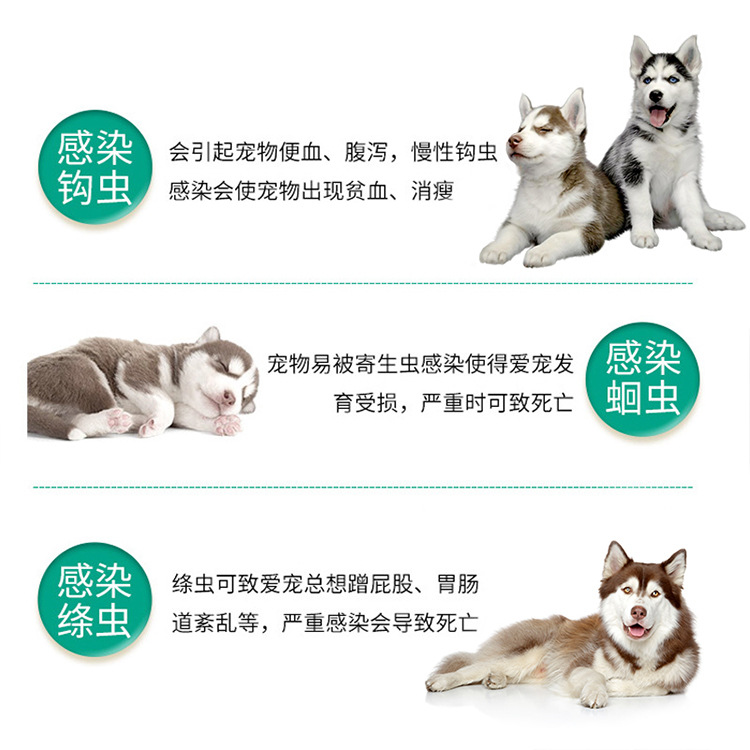 Pet Anthelmintic Drug Albendazole Tablets, 6 Tablets of Anthelmintic Drug for Dogs, Anthelmintic Drug for Cats, Pet Medicine