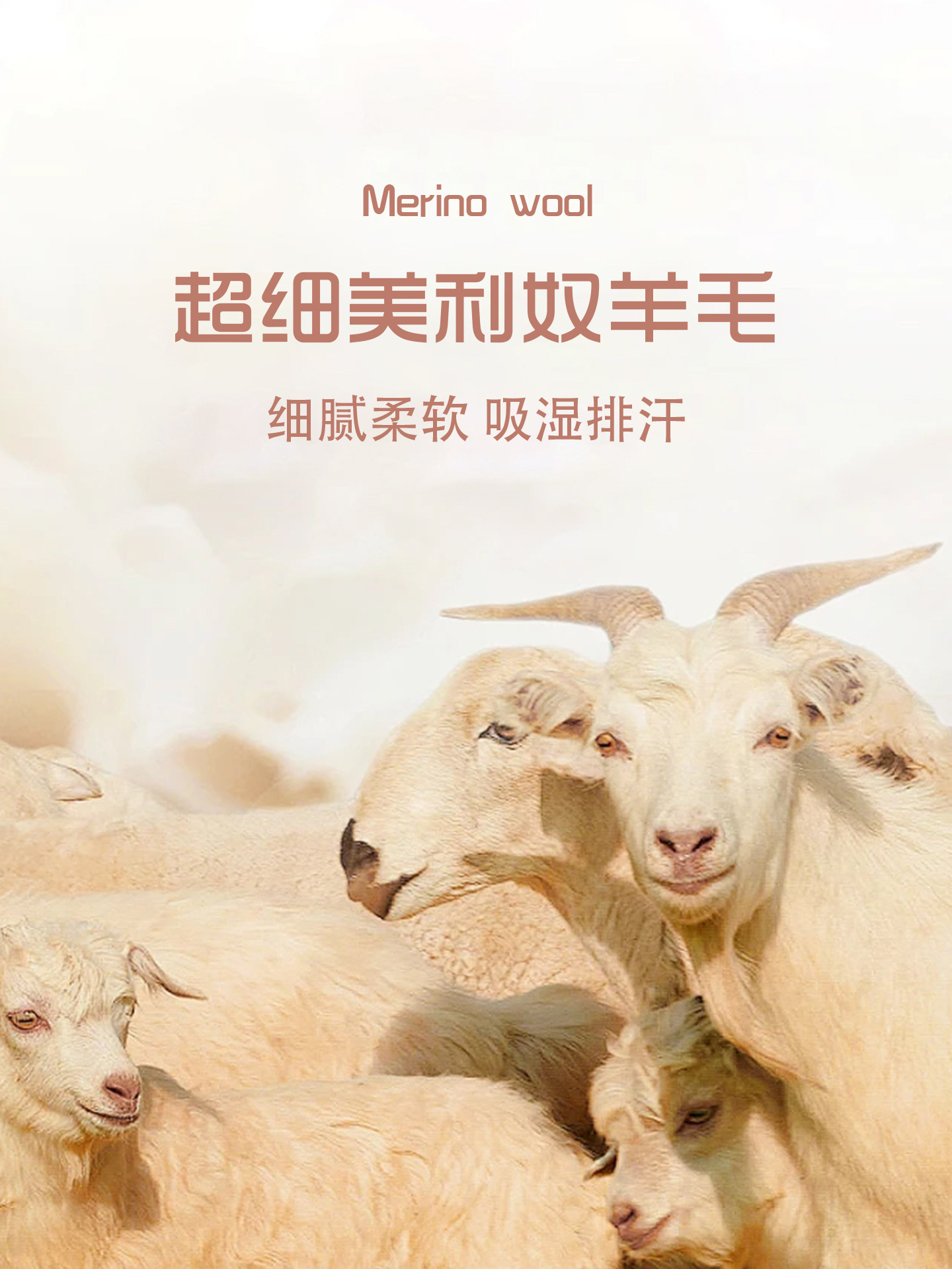 Merino Wool Quick-Drying Long-Sleeved Women's T-Shirt Outdoor Yoga Fitness Pilates Casual Round Neck Sports Top