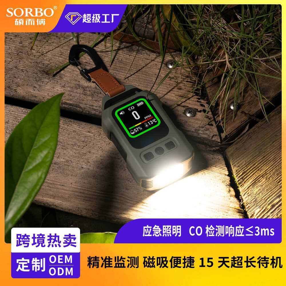 Gas Detection Cross-Border Customized Concentration Alarm Outdoor and Indoor Portable Carbon Monoxide Detector with Magnetic Attachment
