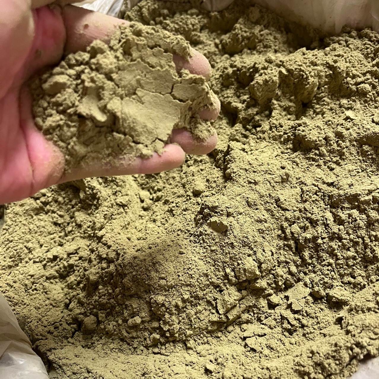 Freshly Ground Wholesale Raw Material of Sichuan Wild Platycladus Orientalis Leaf Powder, Fine Powder, Bulk Wholesale of Natural Cypress