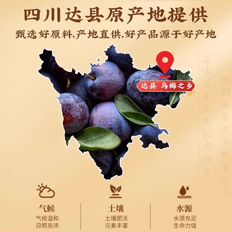 Beijing Tongrentang Dried Black Plums 250g Chinese Herbal Medicine Authentic Sour Plum Soup Raw Materials Smoked Large Fruit Black Plums Soaked in Water to Drink