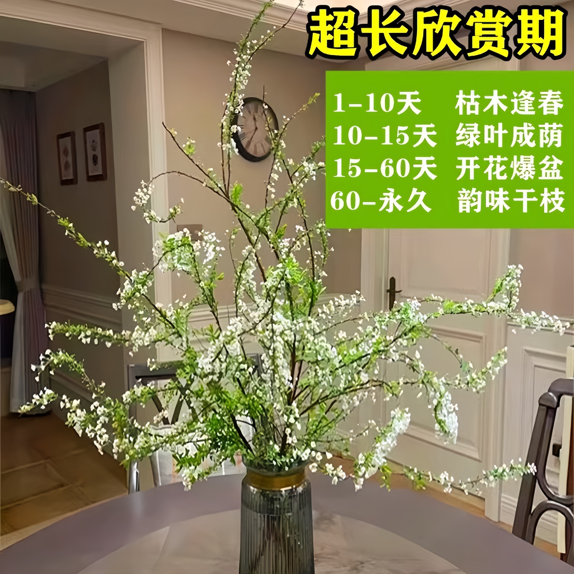 Fresh Cut Flowers with Buds from Xueliu, Water-Cultured Fresh Flowers, Direct from Yunnan Flower Base, Easy-To-Care-For Indoor Green Plants