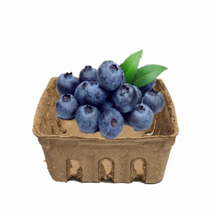 Fruit Packaging Degradable Pulp Water Plastic Fresh Blueberry Tray Pulp Packaging Box Paper Tray Fruit Degradable Box