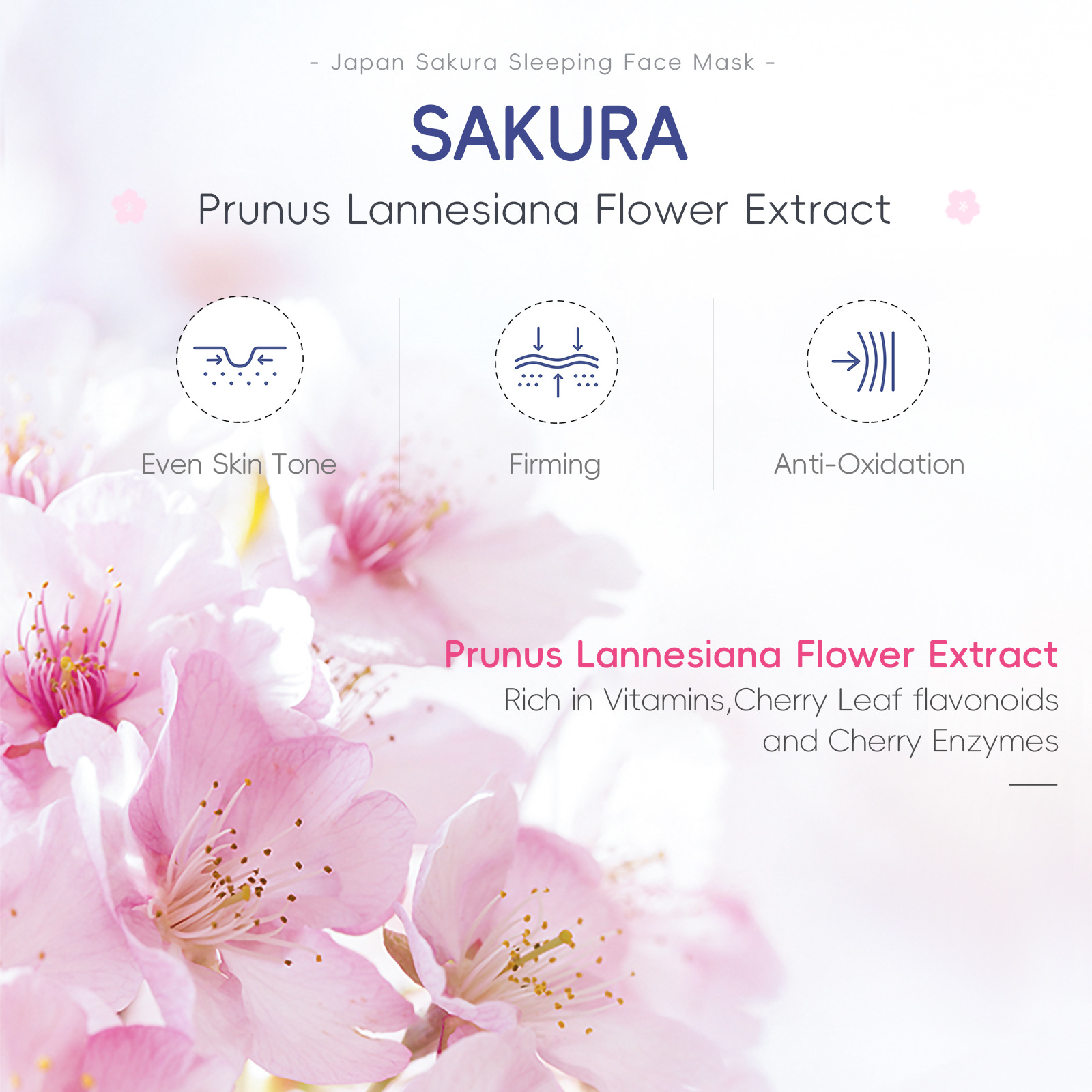 Laikou Sakura Sleeping Mask 1 Piece 3g Cleans Pores Facial Shrimp Skin Full English Sleeping Mask