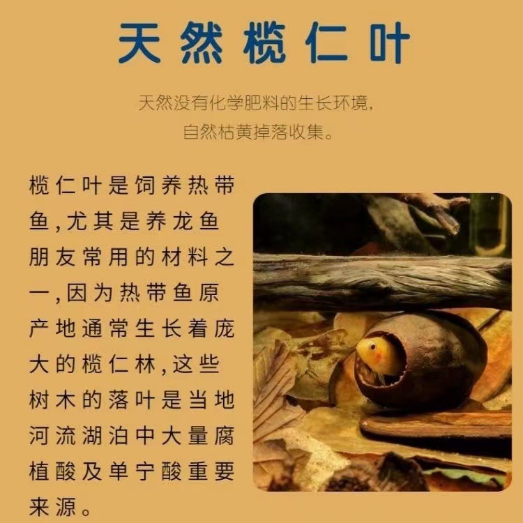 Douyu's Special Natural Terminalia Leaf Reduces Water Quality Ph Value, Reduces Acidity, Prevents Burning, Tail Clip Tail Adjustment and Improves Water Quality