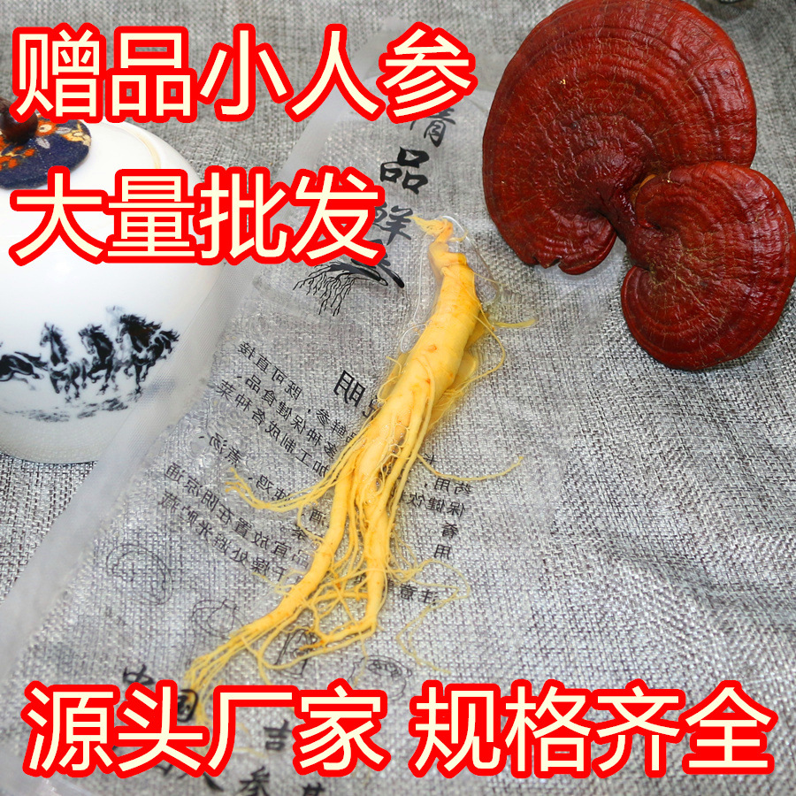 Производитель с источником, женьшень для настаивания на вине, живые продукты, оптовая продажа поштучно