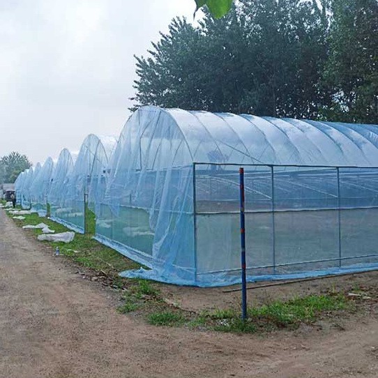 New Longevity Greenhouse Plastic Film Light Blue Drip-Free Film Black and White Film Po Film Greenhouse Transparent Thermal Insulation Rainproof Plastic Film