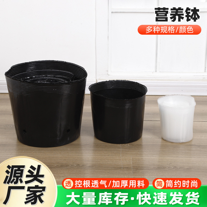 Phalaenopsis Thickened Transparent Nutrient Bowl Seedling Pot Seedling Cup Drainage Breathable Transparent Disposable Flower Pot