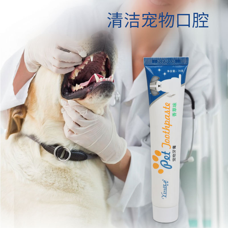 Pet Toothpaste Dog Cat Teeth Cleaning Dog Toothpaste Cat Toothpaste Dog Cat Oral Cleaning Puppy Toothpaste Manufacturer Wholesale