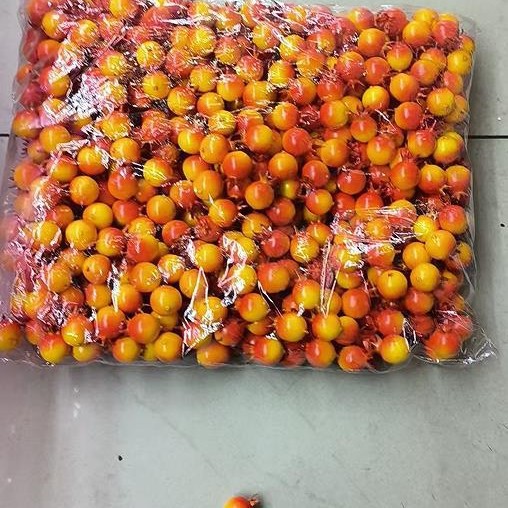 Mini simulation foam small fruit small pumpkin cherry orange peach small pomegranate micro landscape small ornaments fruit