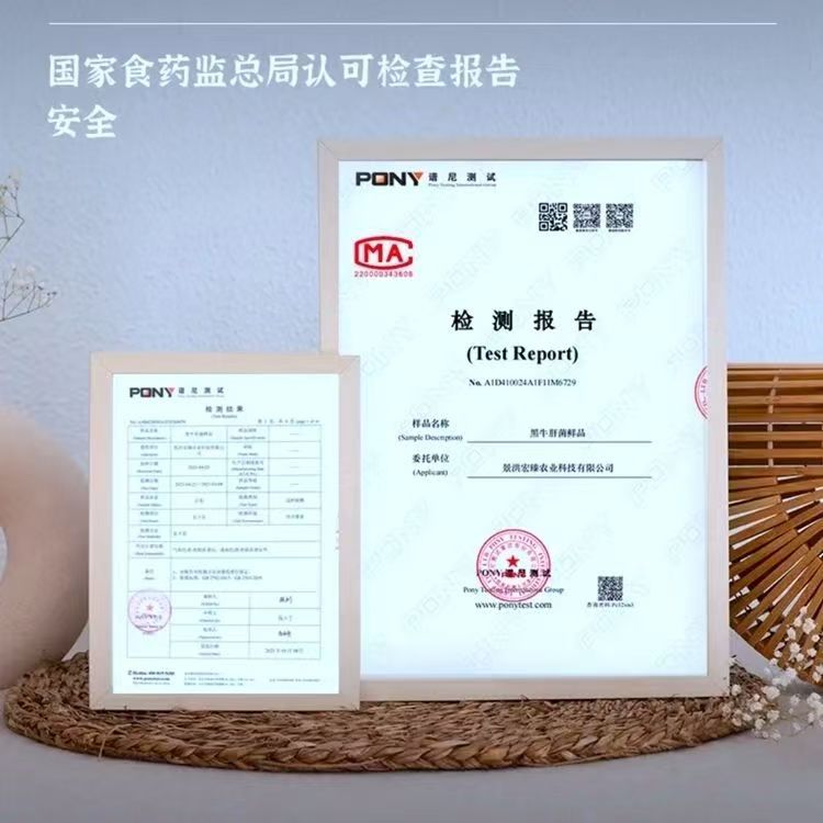 Wholesale Edible Fungi from Yunnan, Fresh Morels, Delicious Mushrooms for Soup, Fresh Ingredients, Whole Box with Free Shipping