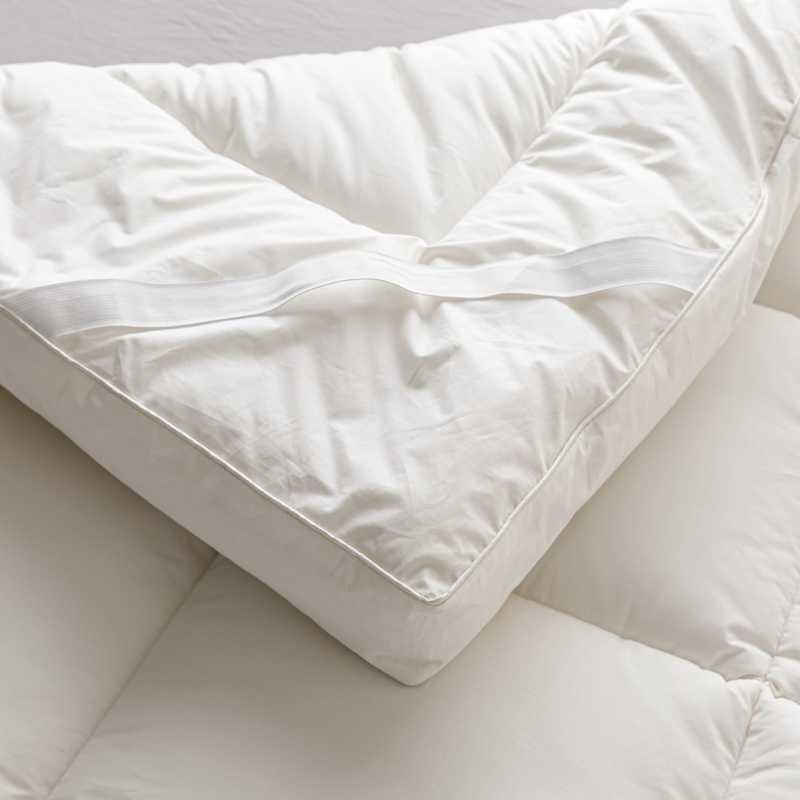 Nantong Home Textile Bed 2025 New Thickened Three-Dimensional Whole Cotton Hotel Student Mattress Antibacterial Cloud Group Buying Wholesale