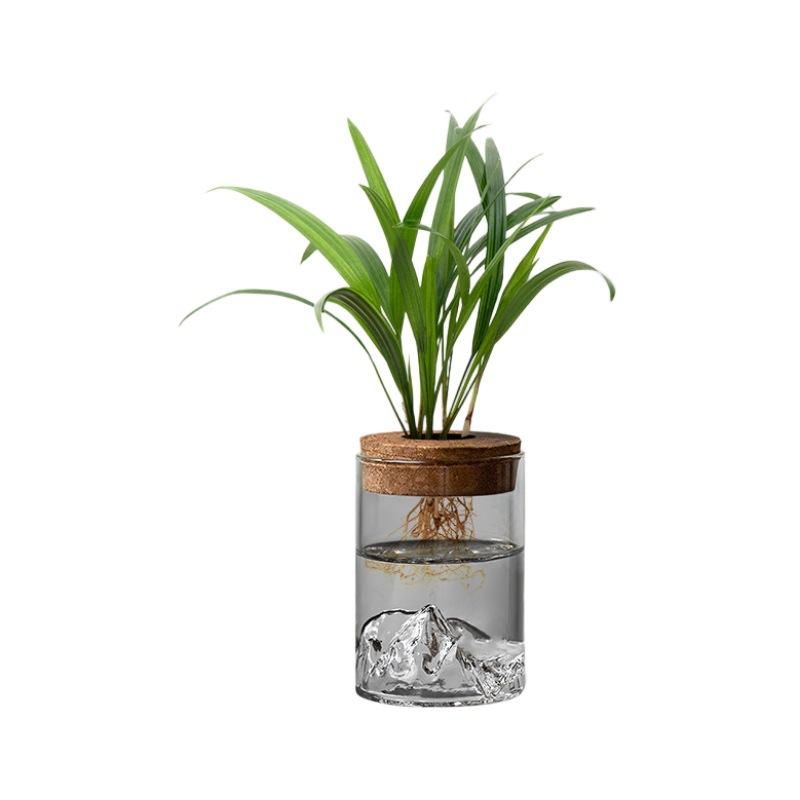 Hydroponic Plant Small Potted Plant Office Desktop Potted Glass Bottle Green Plant Ornaments Mountain View Bottle Small Vase Micro Landscape
