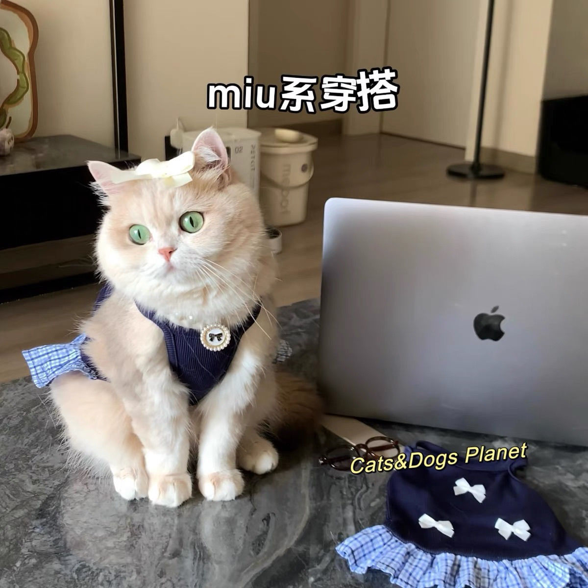 Cat Clothes Summer Cute Bow Suspender Skirt Pet Ragdoll Kitten Dog Thin Anti-Shedding Summer Clothes