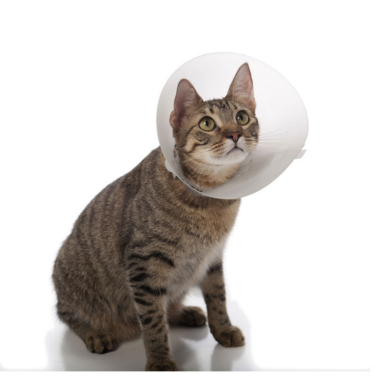 Elizabeth Circle Pet Headgear Cat Supplies Dog Anti-Lick and Bite Dog Dog Cat Sterilization Hood Soft Collar Large Dog