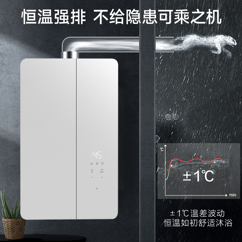 Factory Direct Sales Household Gas Water Heater Silent Constant Temperature 16 Liters Natural Gas Constant Temperature Variable Frequency Bath Strong Exhaust National Standard