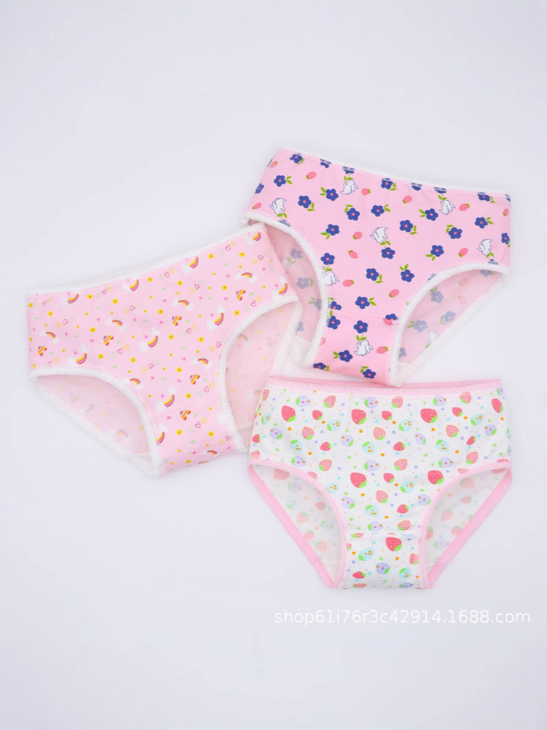 Foreign Trade Wholesale Cute Lady Cotton Small Floral Underwear Girls Printed Mixed Triangle Girls Pants Small Fresh