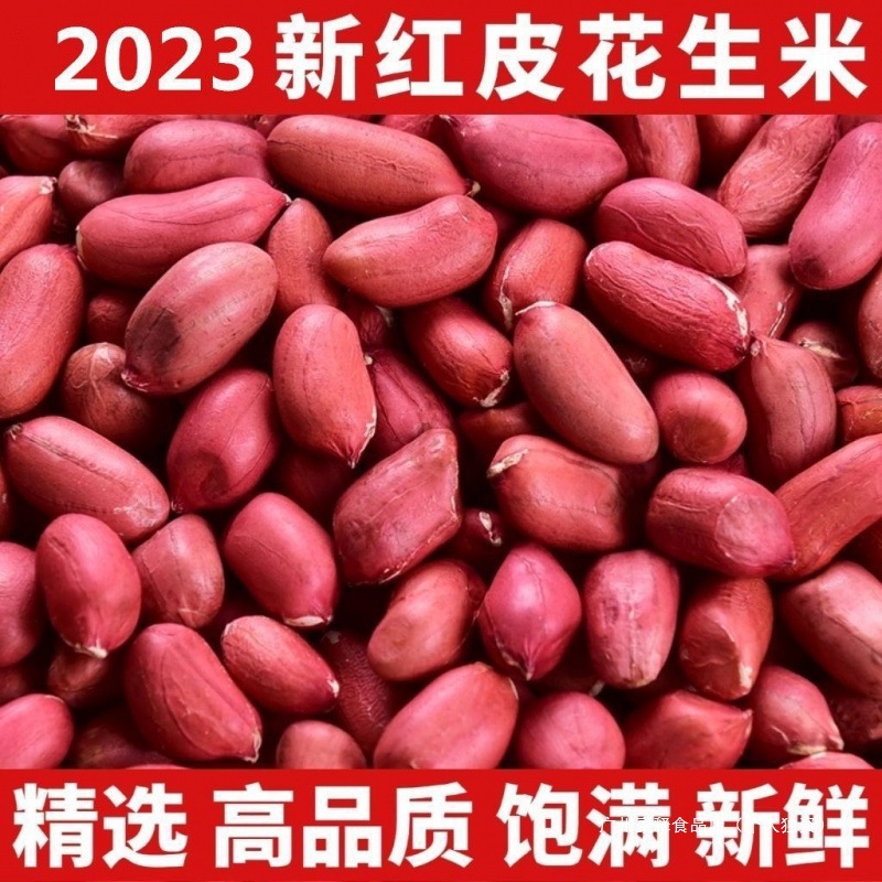 Raw Peanuts from a Local Farm, Unshelled Raw New Peanuts, Specialty Four-Piece Red-Skinned Sea Flower Series