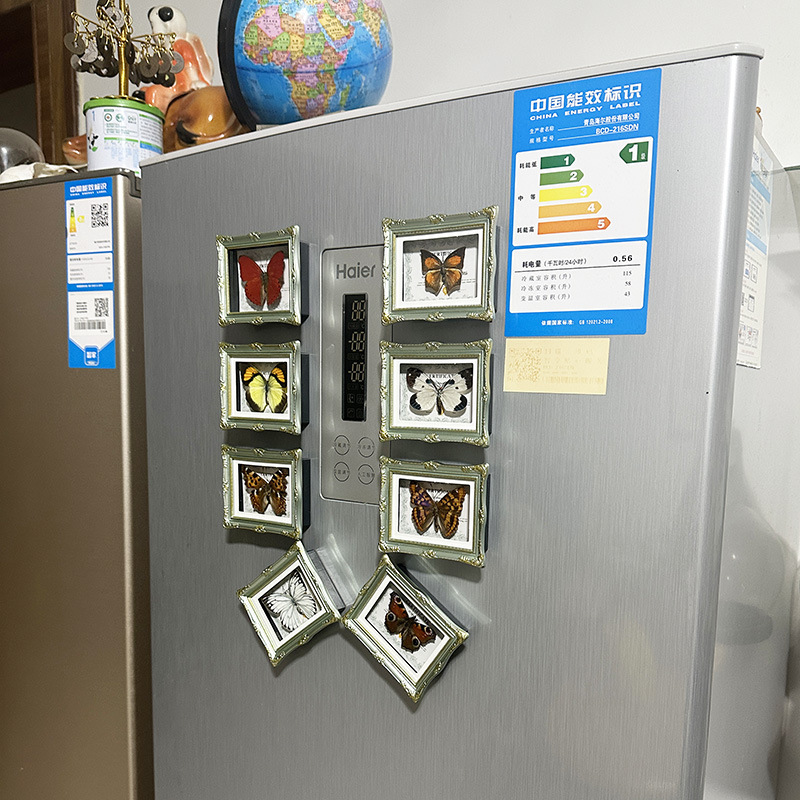 Real Butterfly Specimen European Style Photo Frame Refrigerator Magnet Home Decoration Ornaments Creative Birthday Gifts Popular Science Teaching Supplies