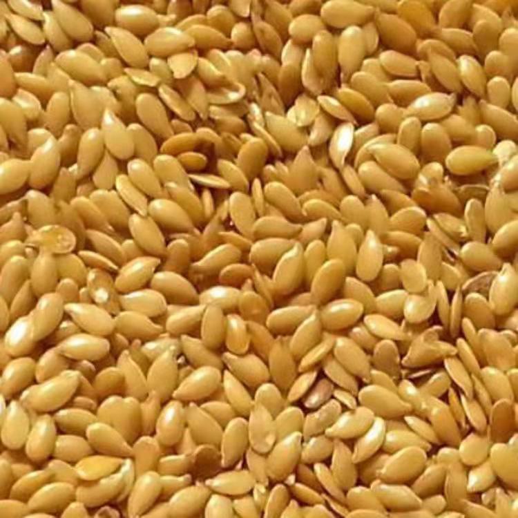 Seasonal New Gold Flaxseed Brown Flaxseed Raw and Mature Flaxseed Whole Cereals Oil Extraction Raw Material Wholesale
