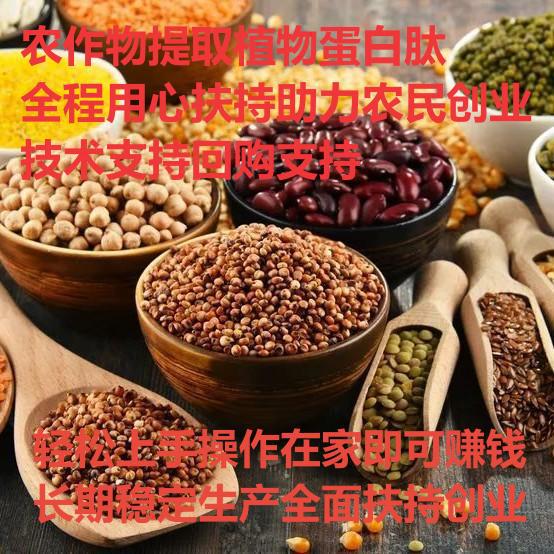 The Deep Processing of Crops to Extract Plant Protein Peptides Opens the Path to Wealth by Turning Corn into Gold