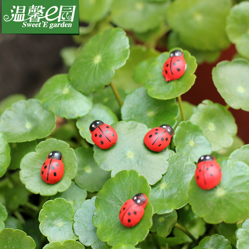 Micro Landscape Ornaments, Accessories, Succulent Ornaments, Wooden Crafts, Beetle, Seven-Star Ladybug, Ladybug
