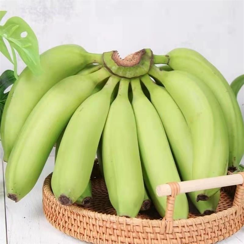 Williams Banana Green Banana Origin Full Box Free Shipping Green Banana Fresh Banana Drop Shipping