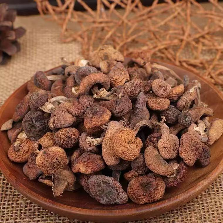 [Authentic] Northeast Wild Hazelnut Mushrooms Wholesale Chicken Stewed Mushrooms Changbai Mountain Specialty Dry Goods 500 New Hazelnut Mushrooms